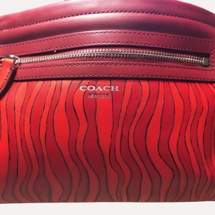red striped purse.jpg